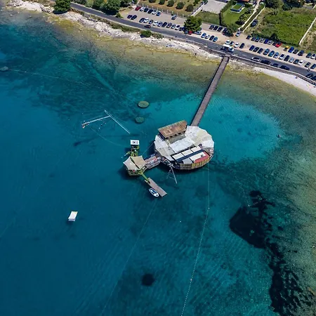 Artapart Pula